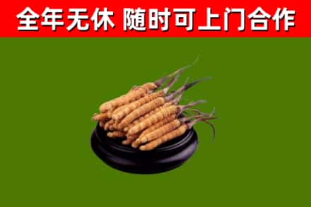 永寿烟酒回收冬虫夏草.jpg